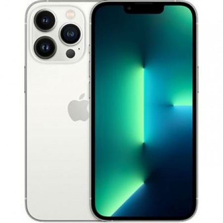 TelemóveL Apple iPhone 13 PRO 256GB GRIS LIVRE   - Usado