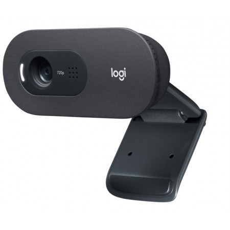Webcam Logitech C505 (720p HD)